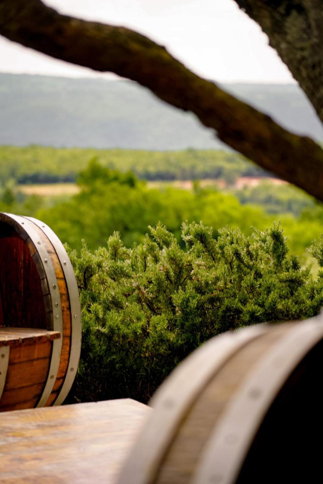 Wine Residence Cattunar Brtonigla Kültér fotó
