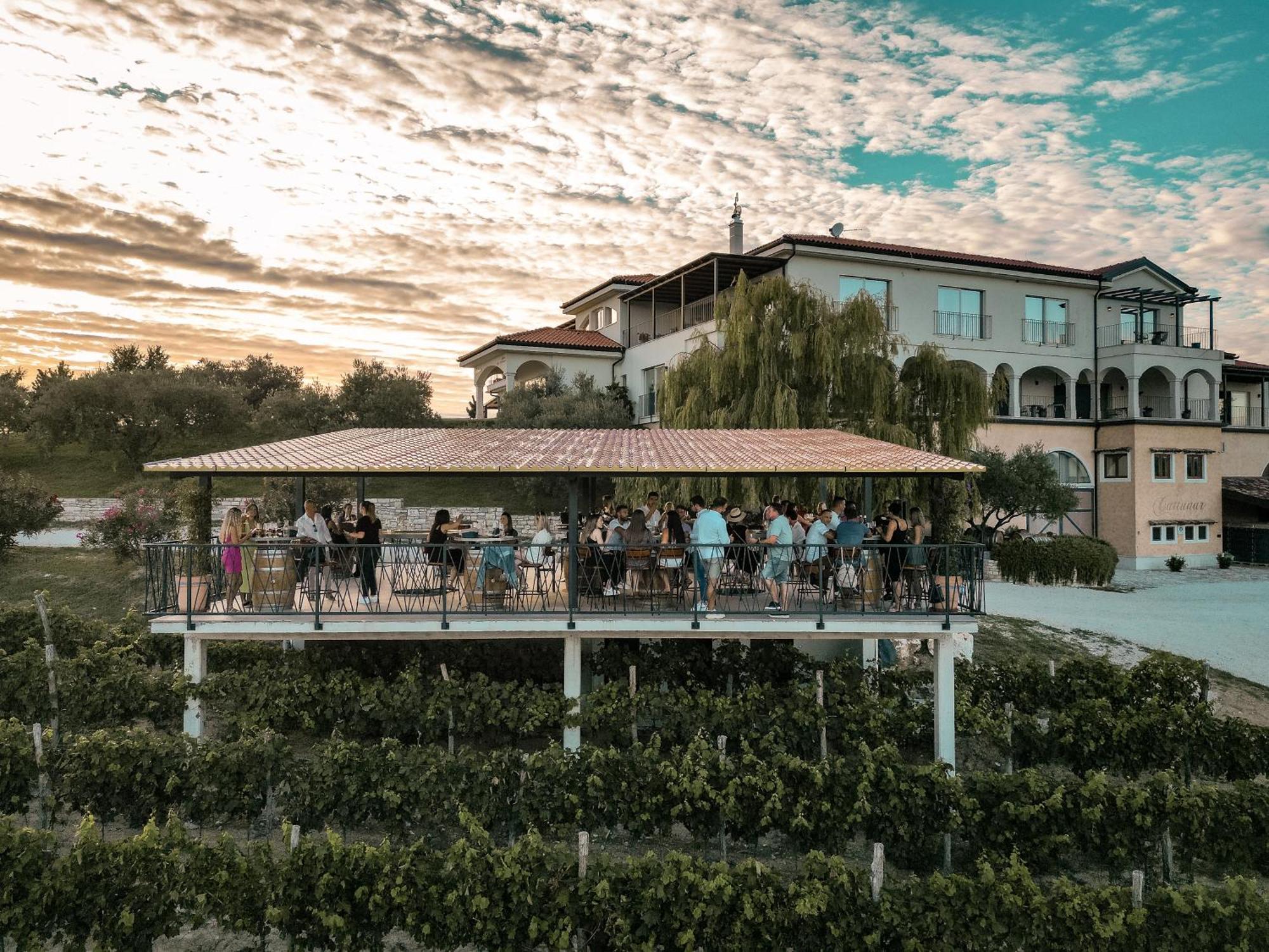 Wine Residence Cattunar Brtonigla Kültér fotó