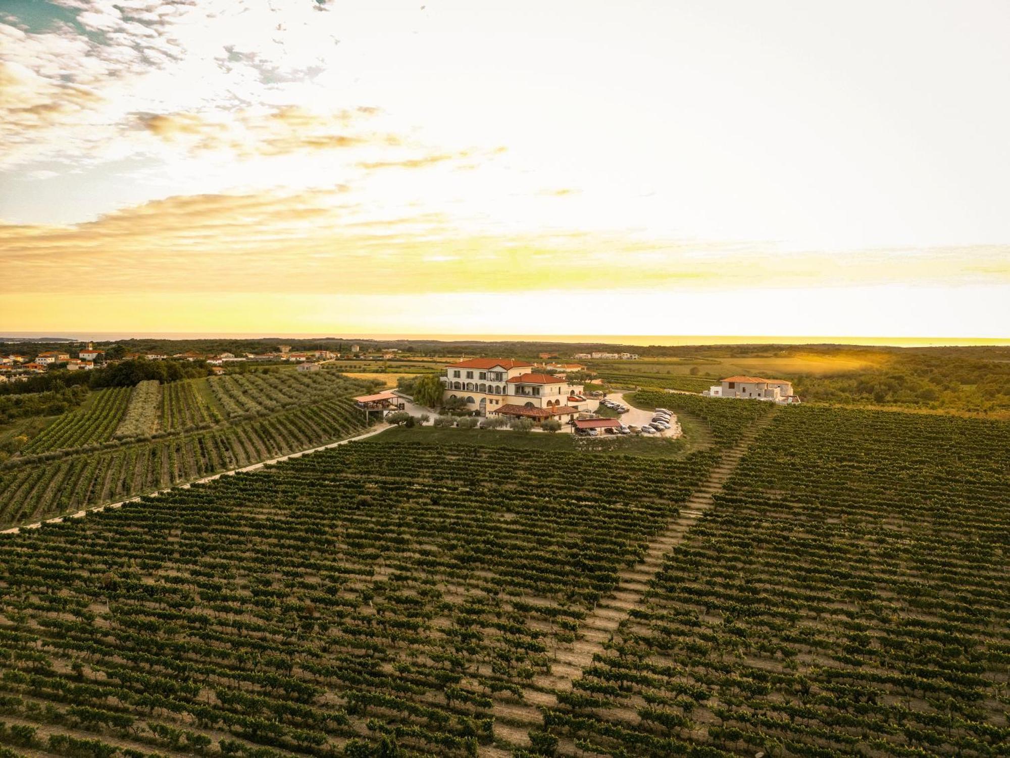 Wine Residence Cattunar Brtonigla Kültér fotó